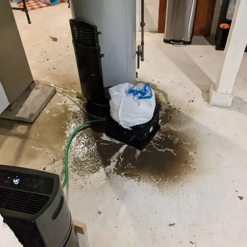 Sewage Backup Cleanup Service in Greenup, KY
